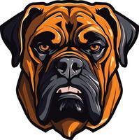 A powerful and intense illustration of a bullmastiff's head, perfect for branding, logos, and design projects with a strong and protective message vector
