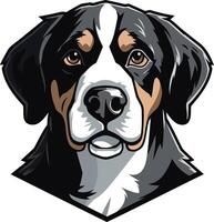 Portrait of a Bernese Mountain Dog vector