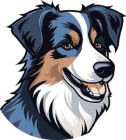 Smiling Australian Shepherd Portrait vector