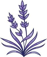 A simple yet elegant illustration of a lavender plant, perfect for adding a touch of nature and tranquility to your designs vector