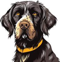 Close-up portrait of a german shorthaired pointer dog with a focused and alert expression vector