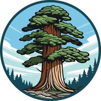 Giant Redwood Tree in a Circular Frame vector