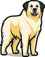 A friendly and fluffy illustration of a pyrenean mountain dog, perfect for pet-related projects and dog lover designs vector