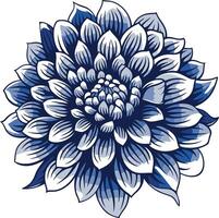 A beautiful blue and white stylized illustration of a dahlia flower vector