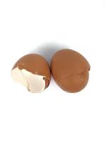 The egg shell is the outermost layer of the egg. This layer can have a hard or soft texture, depending on the type of egg. photo