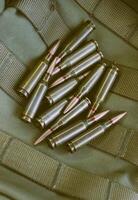 Twelve Rifle Bullets On A Belts Of Molle Unloading System photo