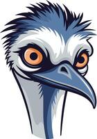 A cartoon illustration of an emu head with a bold, expressive look vector