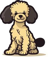 Cute Cartoon Poodle Sitting vector