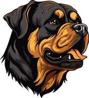 A powerful and expressive illustration of a rottweiler's head, capturing its strong jawline and intense gaze vector