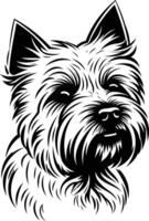 A striking black and white illustration of a westie, capturing the breed's signature fluffy fur and playful expression vector