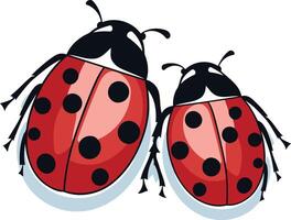 Two adorable ladybugs, one larger than the other, facing the viewer vector