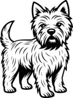 A detailed line drawing of a west highland white terrier standing in a confident pose vector