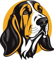 Basset Hound Portrait with a Yellow Circle Background vector
