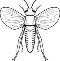 Black and white line drawing of a grasshopper, perfect for educational or illustrative purposes vector