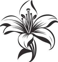 Black and White Illustration of a Lily Flower vector