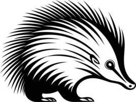 A striking black and white illustration of an echidna, a unique australian mammal vector