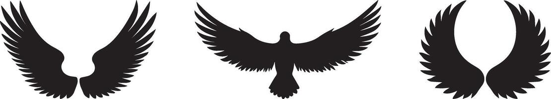 a set of four different wings with different shapes vector