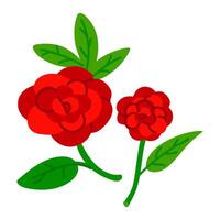 Two beautiful red Mexican zinnia flowers highlighted on a white background. Large buds and an inflorescence on a stem with green leaves. Botanical flat illustration in bright colors isolated vector