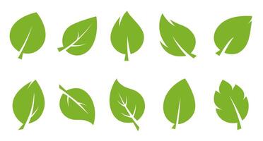 Green Leaf Icons in Various Shapes vector