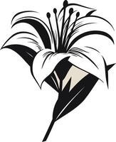 Black and White Illustration of a Lily Flower vector