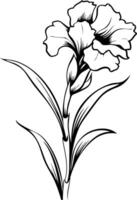 Elegant line art illustration of a single iris flower in bloom vector