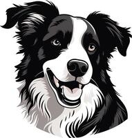 Portrait of a Smiling Border Collie vector