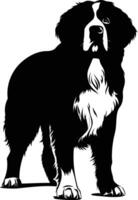 A striking black and white silhouette of a bernese mountain dog, standing proud and looking upwards vector
