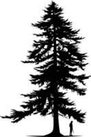 Silhouette of a majestic pine tree with a small figure standing beneath it vector