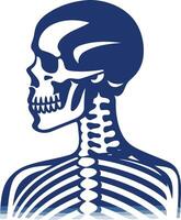 A simple, bold blue silhouette of a human skeleton, viewed from the side vector
