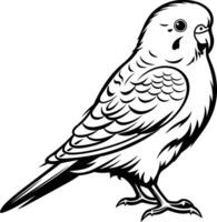 A simple line drawing of a budgie, perfect for tattoo design, coloring books, or any project needing a cute, stylized bird vector