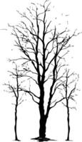 Simple black and white silhouette of a tree with bare branches against a white background vector