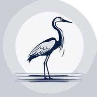 Blue Heron Standing in a Water vector