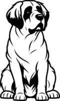 A simple, yet striking black and white illustration of a saint bernard dog, seated with a thoughtful expression vector