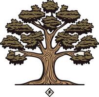 A stylized illustration of a large, full bodied tree with intricate bark detail vector