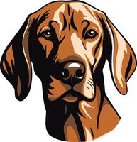 Close-up portrait of a majestic vizsla dog, showcasing its intelligent and loyal expression vector