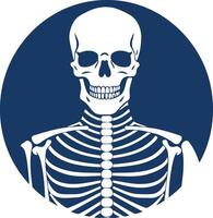 A simple and bold illustration of a human skeleton, with a skull, ribs, and shoulder bones vector