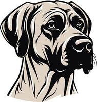 A powerful and expressive portrait of a great dane dog, showcasing its noble features vector