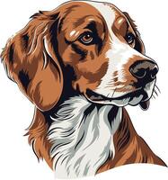 Portrait of a Red and White Dog vector