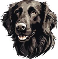 This illustration features a close-up portrait of a flat-coated retriever, a breed known for its intelligence, loyalty, and playful nature vector