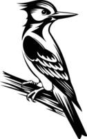 Black and white illustration of a woodpecker perched on a branch vector