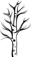 Simple black and white silhouette of a birch tree, perfect for logo design, branding, or nature-themed projects vector