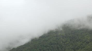 view of the mountain range hill with greenery rain forest and mist cloud fog windy flow over the mountain range in winter daytime video