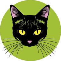 Stylized cat face in a circle. Banner or logo for a website or cat fanciers club. illustration An eared black cat with yellow eyes looks at you seriously. Huge cat whiskers go beyond the circle vector
