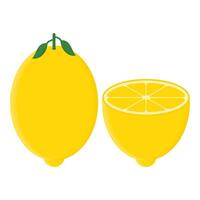 Natural Fruit Fresh Lemon. Yellow Lemon Sliced in Half. Ripe Lemon. vector