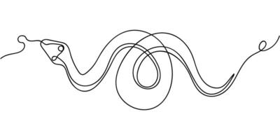 Abstract line drawing of a snake coiling with intricate curves and loops on a white background vector