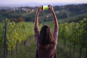 A girl taking a photo of vineyard rows during harvest season. Grapes cultivation for the production of wine in vineyards in Vienna, Kahlenberg mountain
