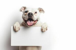 Happy Dog Holding Blank Signboard on White Background photo