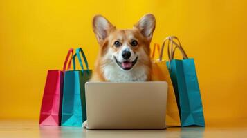 Cute Corgi Dog Doing Online Shopping with Colorful Bags on Yellow Background photo