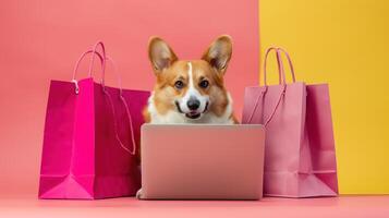 Cute Corgi Dog Doing Online Shopping Surrounded by Pink Shopping Bags on Colorful Background photo