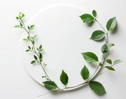 Minimalist Design With Green Leaves on a White Circular Background photo